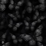 ʚɞ My magic Butterfly‘s ʚɞ