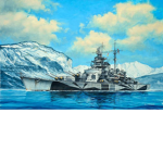 The Danish Fleet