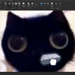 StudioKitty