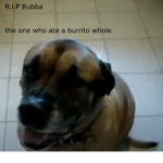The Burrito Bastion