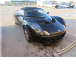 Lotus Lovers