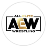 Wwe entrance practice