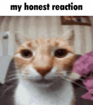̷R̷