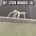 The stickbugs