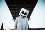 Marshmello Fan Club