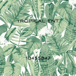 TROPICAL ENT.