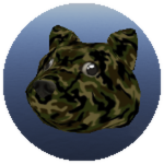 Camo Doge