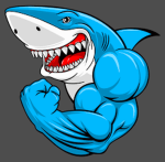 SharkTR Studio