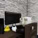 My games icon