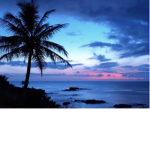 Paradise time