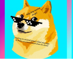 mlg dog meme