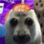 + p e r c