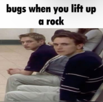 MemeUsersHangout