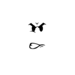 [ΑΑ]- Army Air Regiment