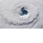 #hurricane nation