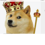 Teams of doges