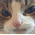 M e y o u