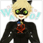 🐱 ~Chat Noir Fanclub~🐱 Group Thumbnail