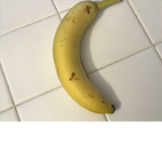 MONKE GANGGG