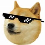 The Chat doges (looking for friends to play with t