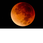 moon store