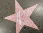 AmeliaPlayz fan group!