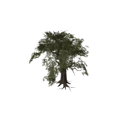 Realistic Tree