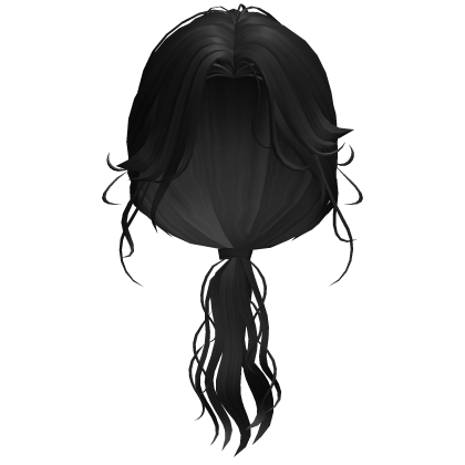 Black Low Ponytail