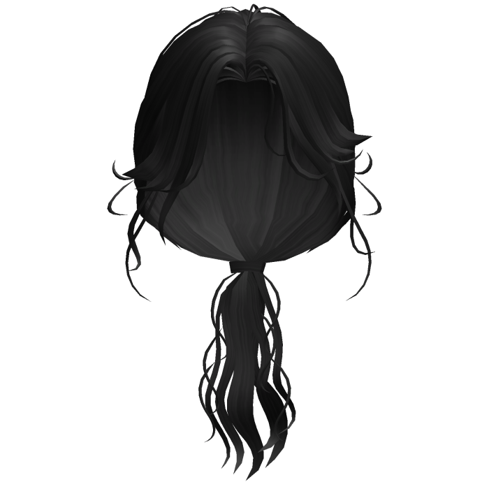 Black Low Ponytail