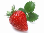 strawburry clothing