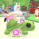 Lil Turtle Squad