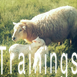 Escambia Trainings