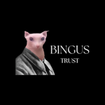 Bingus Trust Co.