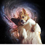 Space Dogs Inc