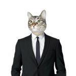 los gatos fachas the luky for life the kingdon