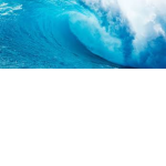MrRiptides Group