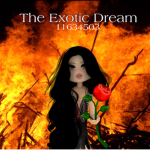 EXOTIC DREAMS ⋆