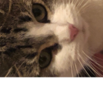 B3h3MO7H group