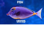 The Fish United.
