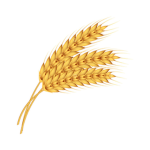 Wheat Farm Studios