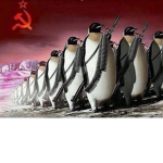 Penguins are dank