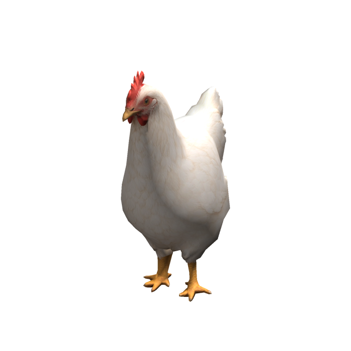 White Chicken Suit