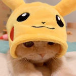 NiceKungTG
