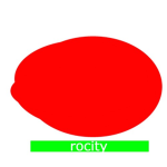 rocity inc. and yeet offices
