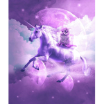 Millie loves unicorns