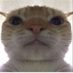 Petertrendyy