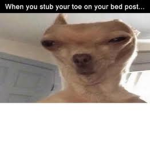 we all memes beach ;-;