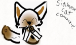Siamese cat community!