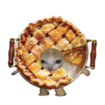 Freshly Baked Pies
