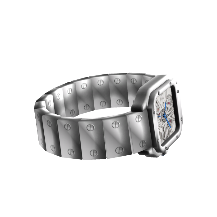 Regal Skeleton Silver Luxe Watch